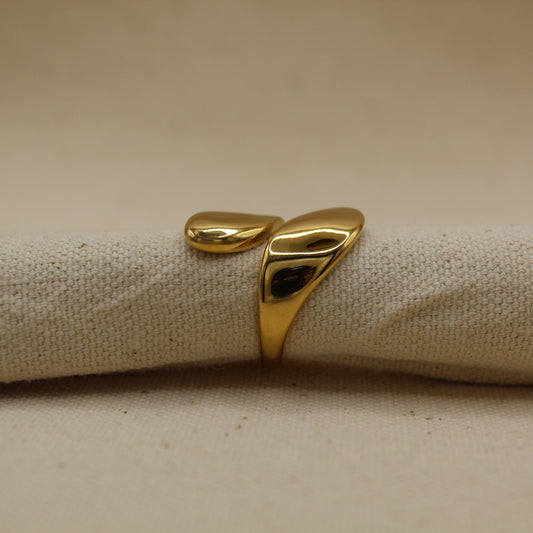 Nicki Ring