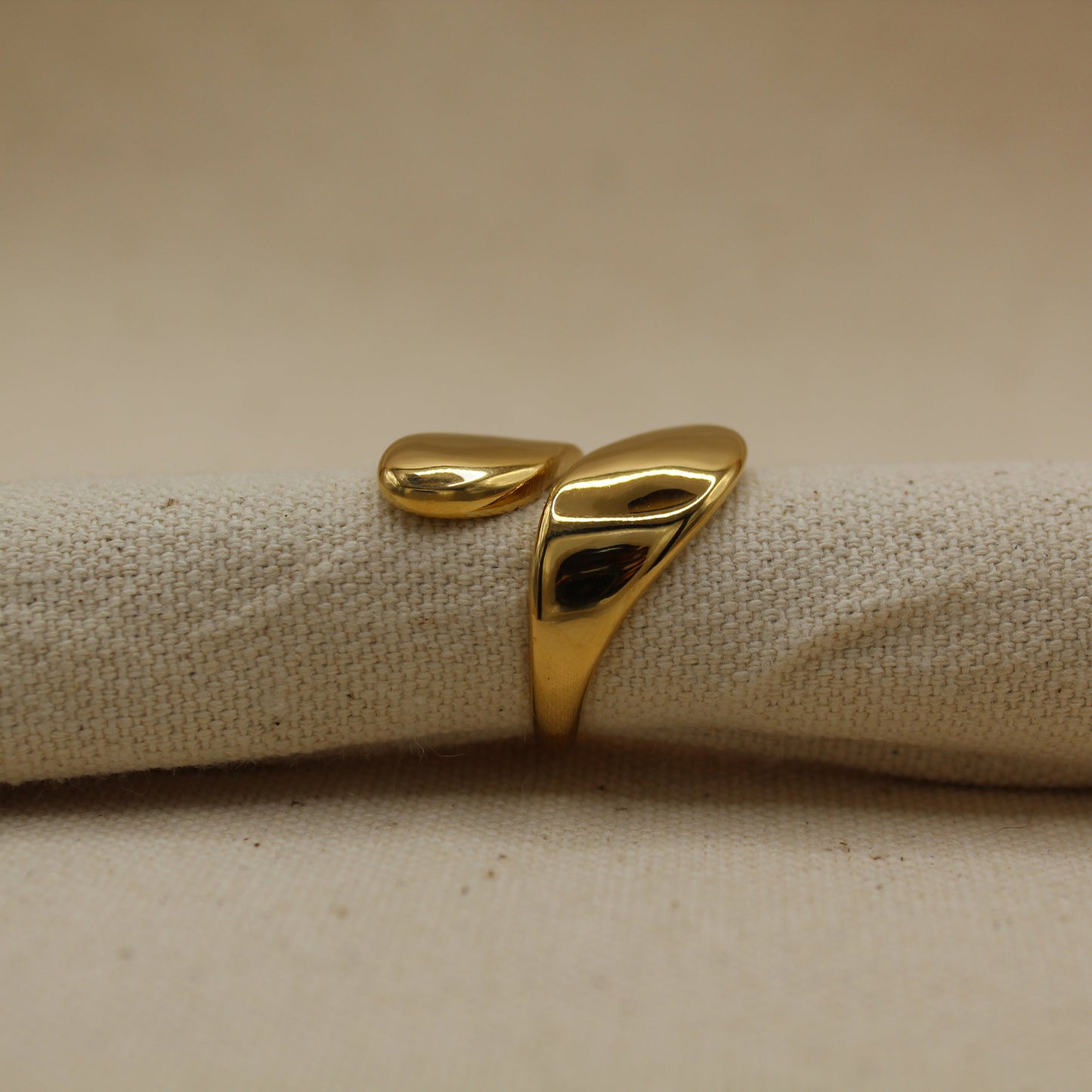 Nicki Ring