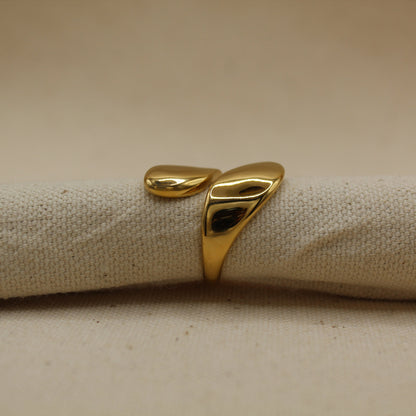 Nicki Ring