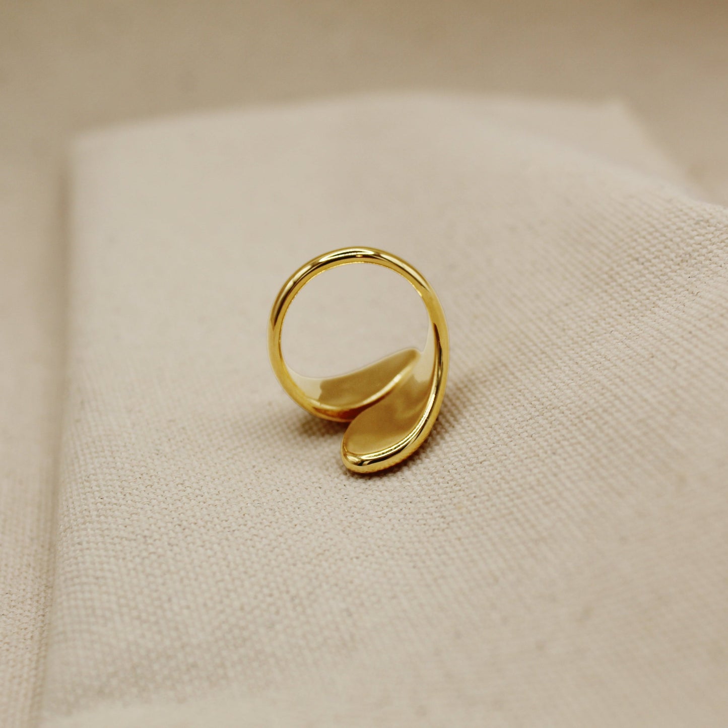 Nicki Ring