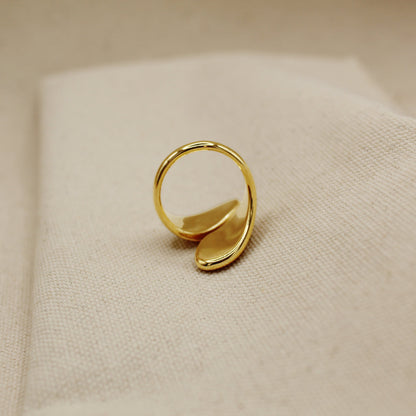 Nicki Ring